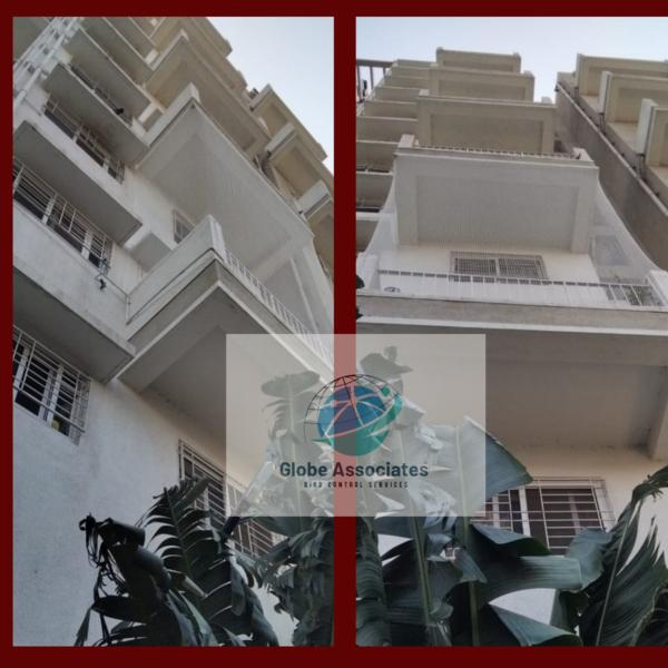 tcg panaroma katraj pune
