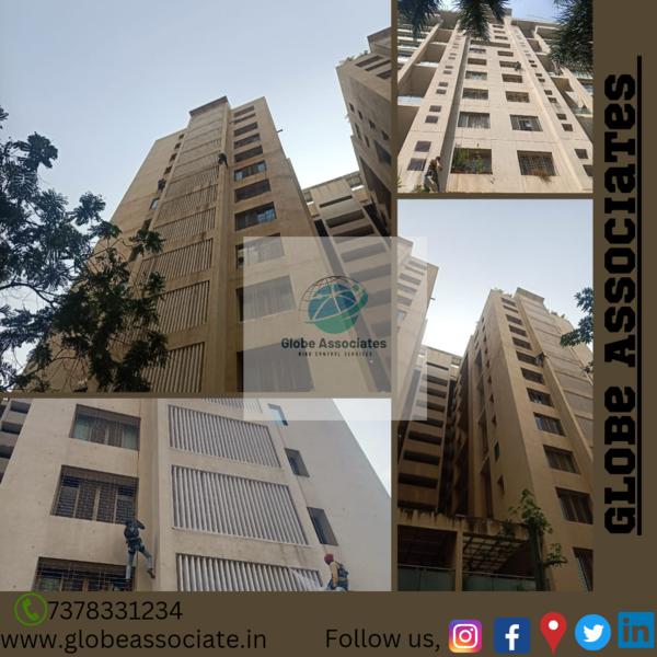 pimple nilakh pune