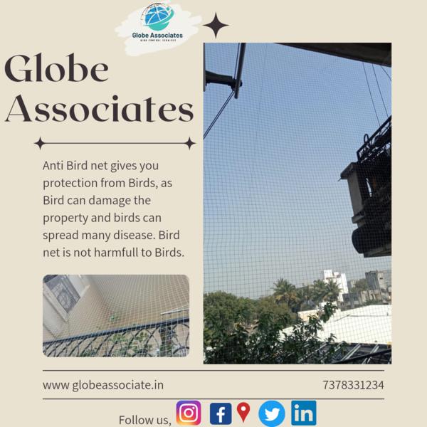 punes top reputed providers