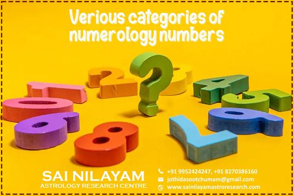 the numerologists