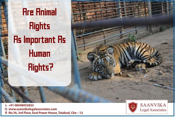 defines animals