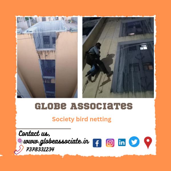 society pigeon net installatio
