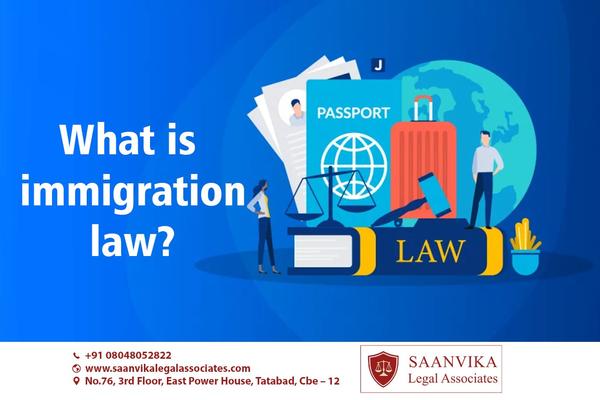 immigration law defines
