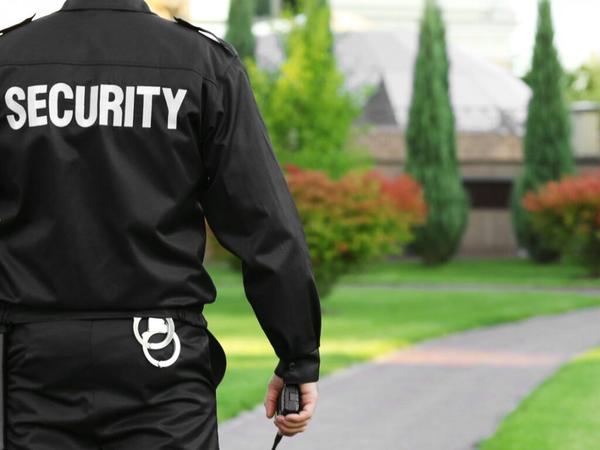 professional security guards a