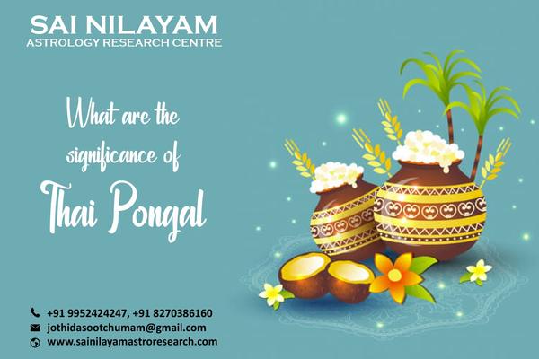 pongal dish