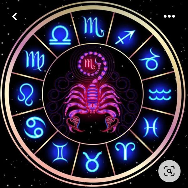 online astrologer