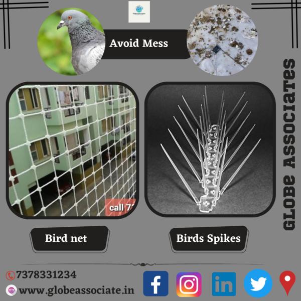 we are the best service provid