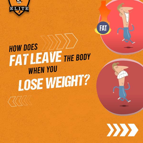weight loss training center