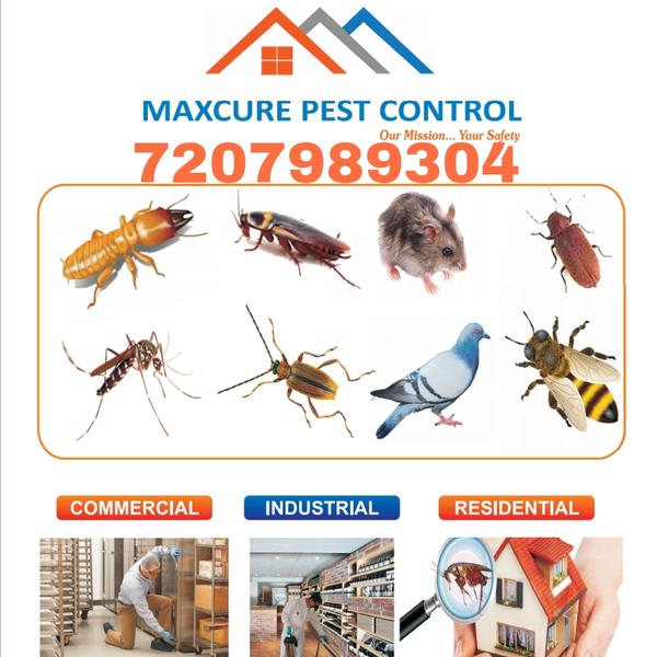 licensed fogging service provi