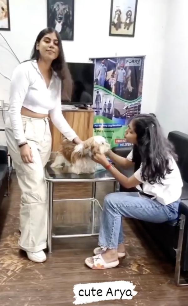 bestpetdaycaresector78