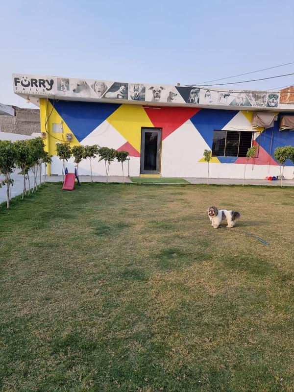 pet boarding near sector 18 no