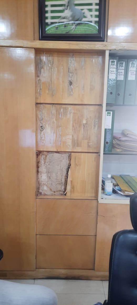 antitermite treatment in hyder