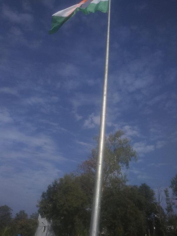 Favored by consumers for offer