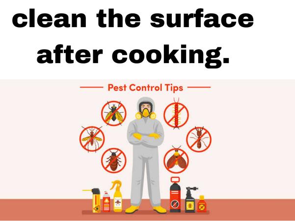 hyderabad pest control