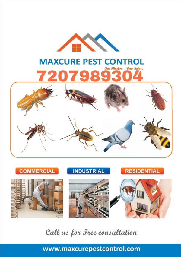antitermite treatment in hyder