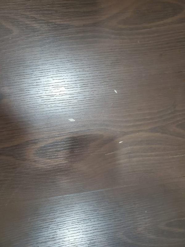 general pest control