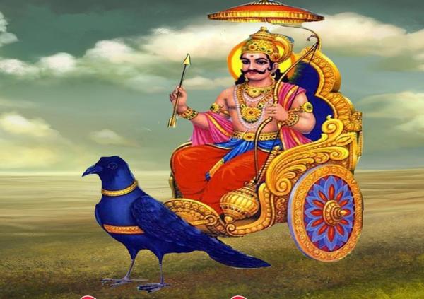 6th bhava saturn