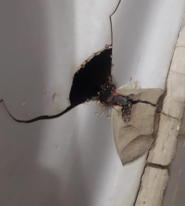 hyderabad pest control