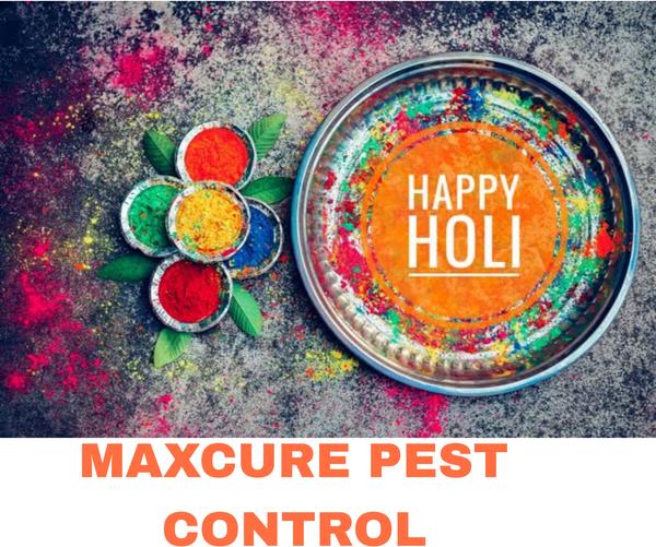 pest control sevices