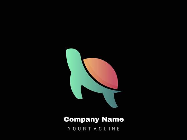 computer software