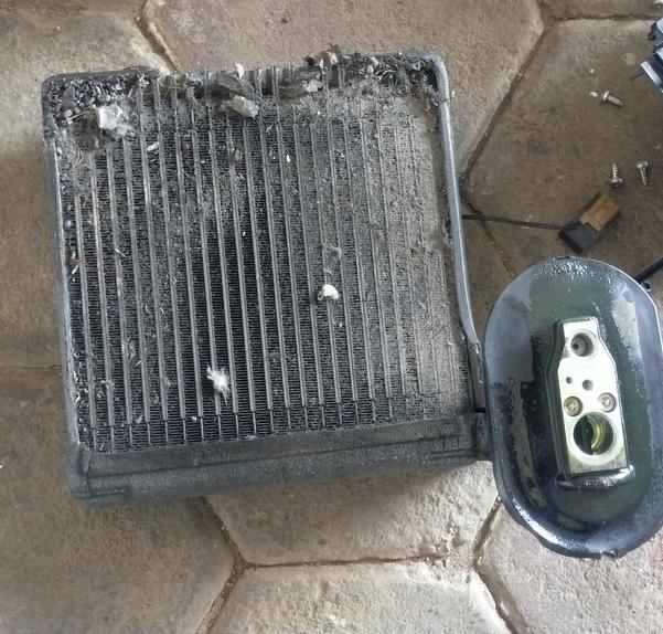 professional cleaning