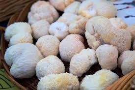 updates search