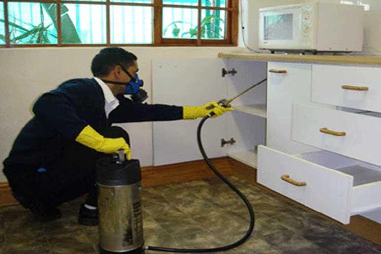 the power house pest control