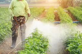 resistant plant varieties