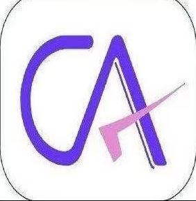 dependable tax audit assistanc