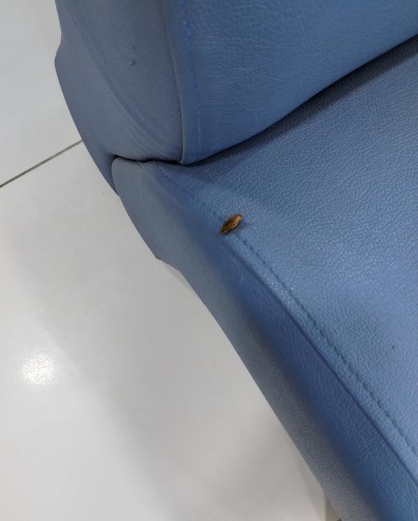 asthma cockroach control