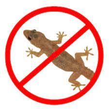 reptiles