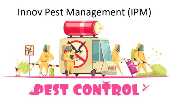best pest control service prov
