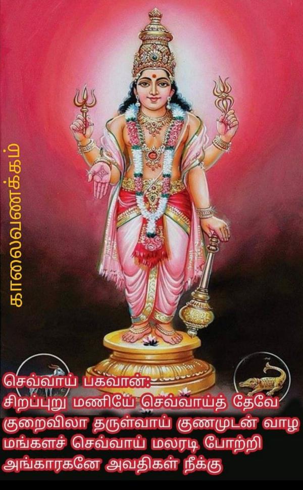 chennai popular astrologer