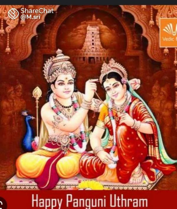 chennai popular astrologer