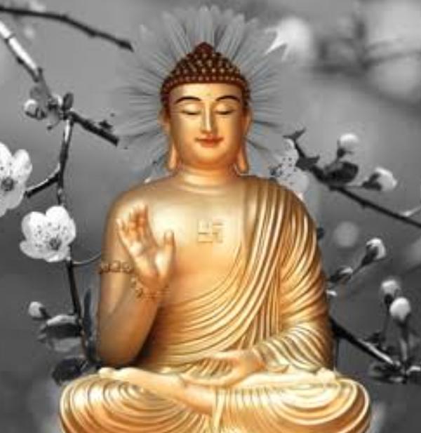 satisfactory service