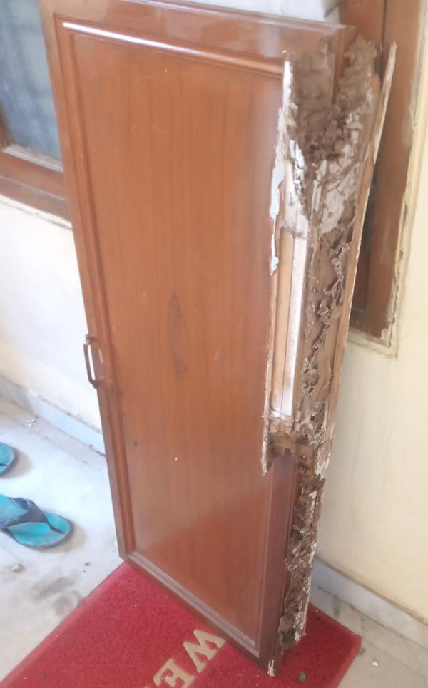 termites attack