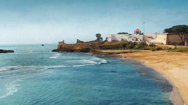 #Best-Travel-Agency-in-Vadodar