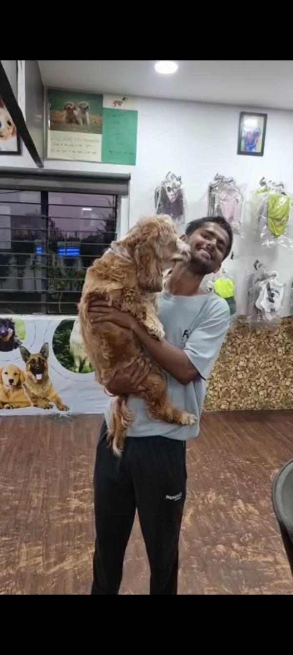 air conditioned pet boarding n