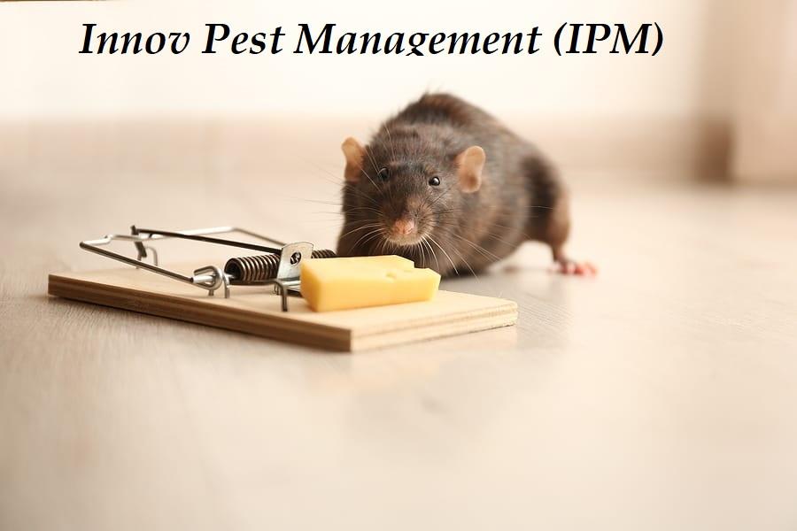 preventative 20services