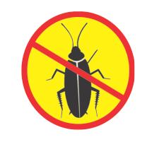 lizard pest control