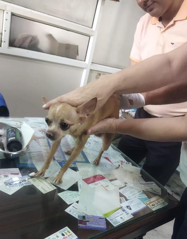 update image