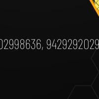 updates search
