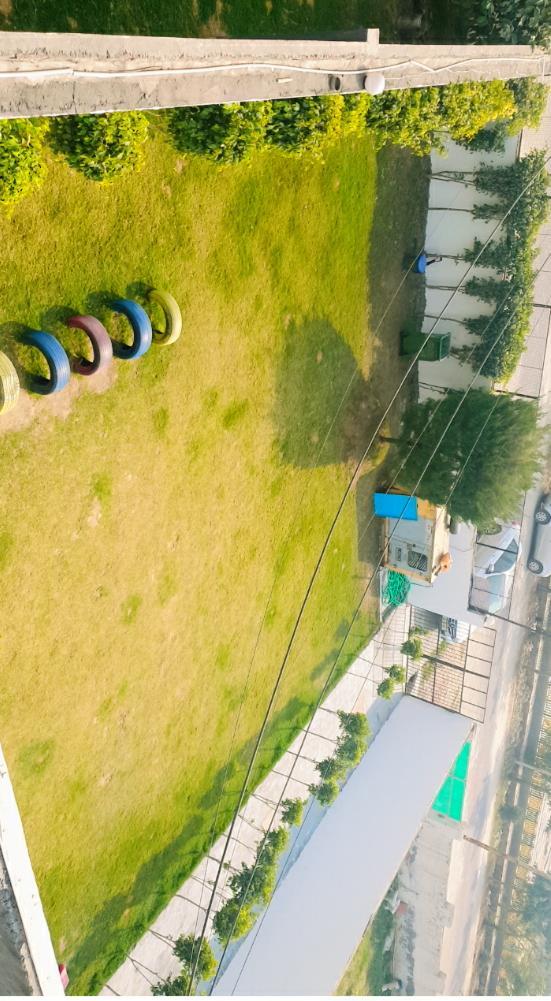 trusted pet boarding services