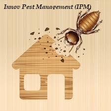 specific pest issues