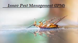 particular pest problem