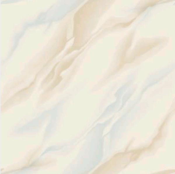 nano petrified tiles