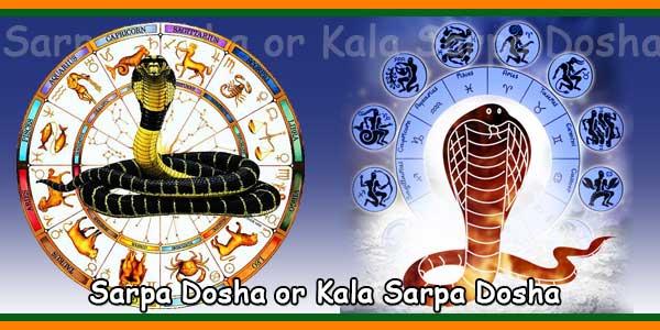 100 result vashikaran astrolog