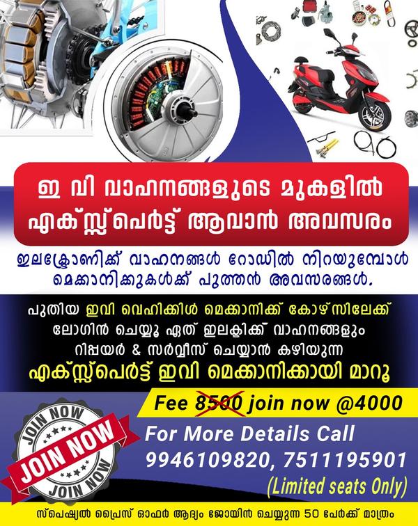 fork oil seal replacement