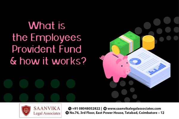 provident fund contribution