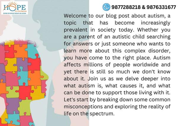 autism spectrum